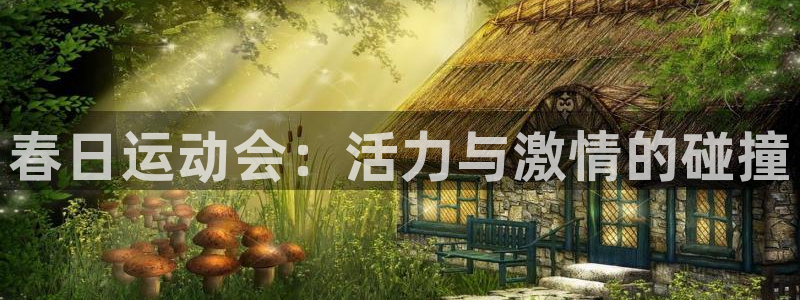 球客岛：春日运动会：活力与激情的碰撞
