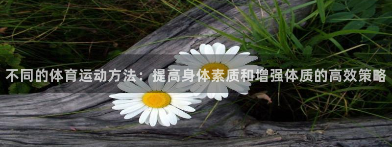 球客岛：不同的体育运动方法：提高身体素质和增强体质的高效策略