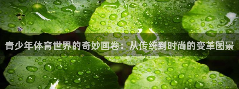 球客岛：青少年体育世界的奇妙画卷：从传统到时尚的变革图景