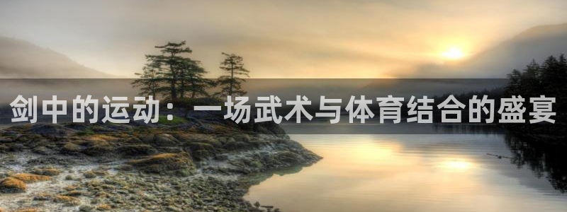 球客岛：剑中的运动：一场武术与体育结合的盛宴