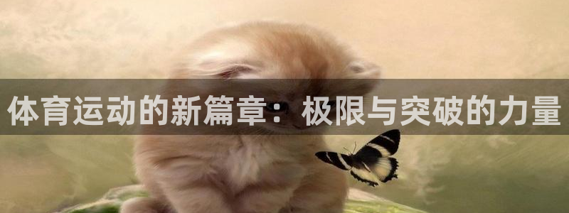 球客岛：体育运动的新篇章：极限与突破的力量