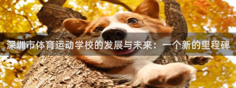 球客岛：深圳市体育运动学校的发展与未来：一个新的里程碑