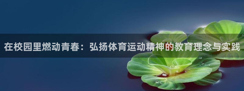 球客岛：在校园里燃动青春：弘扬体育运动精神的教育理念与实践
