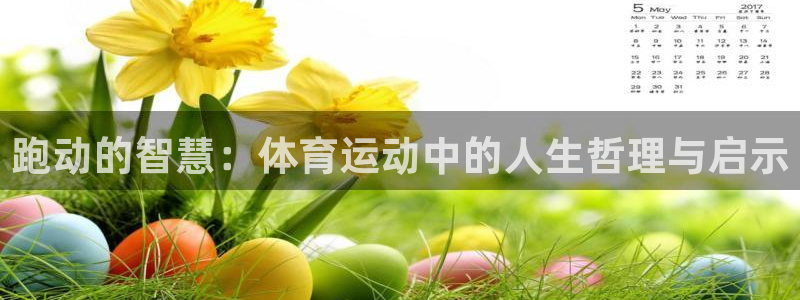 球客岛：跑动的智慧：体育运动中的人生哲理与启示