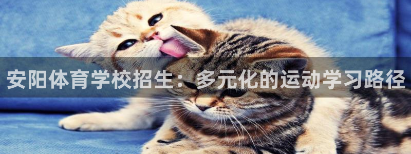 球客岛：安阳体育学校招生：多元化的运动学习路径