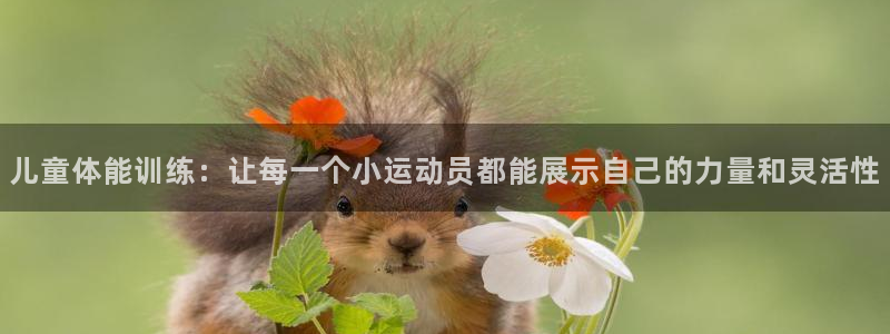 球客岛：儿童体能训练：让每一个小运动员都能展示自己的力量和灵活性